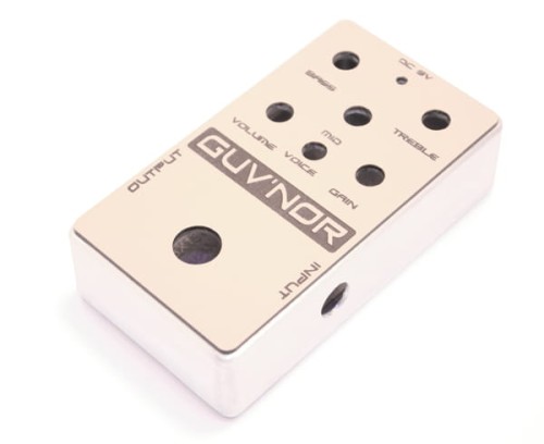 guvnor enclosure 1.jpg