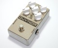guvnor enclosure.jpg