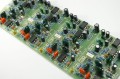 klon guts 2.JPG